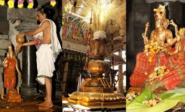நெல்லையப்பர் கோயிலில் ஆனித் தேரோட்ட திருவிழா! (படங்கள்)