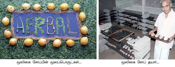 ஆயுளைக் கூட்டும் ஆரோக்கிய வனம்...
