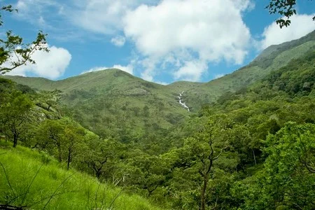 புலிகளை கொல்லாதீங்க!