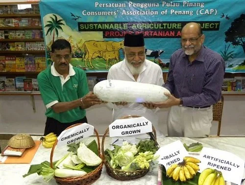 'இயற்கை'யில் ஜெயிக்கும் பினாங்கு... எல்லாப்புகழும் நம்மாழ்வாருக்கே...!