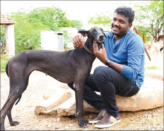 `ஆனந்த விகடன் விருதுகள் 2018’ - 5 நிமிடத்தில் 8 விஷயங்களுடன் வாசிப்பனுபவம்!