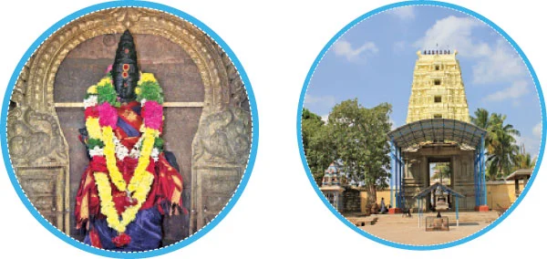 படிக்காசுநாதரைக் காண... பாத யாத்திரை!