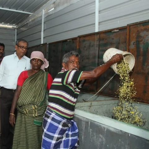 மதுரை பூமாலை வணிக வளாகத்தில் மலர் கழிவுகளை உரமாக்கும் `வேஸ்ட் கார்ட்' திட்டம்!