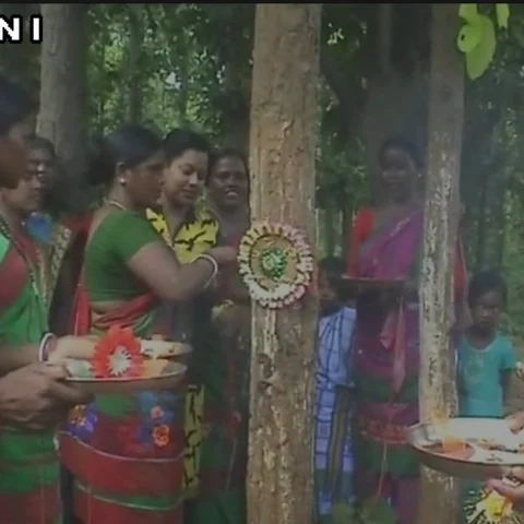 சுற்றுச்சூழலின் சகோதரன்... மரங்களுக்கு ராக்கி கட்டிய மக்கள்!
