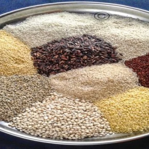 தானிய அடை, கறுப்புக் கவுனி அரிசி பாயசம், தினை காரமிளகாய் வடை... கிராமத்து உணவுகள்!