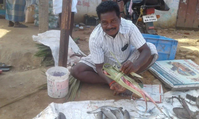 ``மீண்டும் பனை ஓலைக்கே மாறலாமே!’’ - எவர் க்ரீன் டெக்னிக்கை தூசிதட்டிய மீன் வியாபாரி