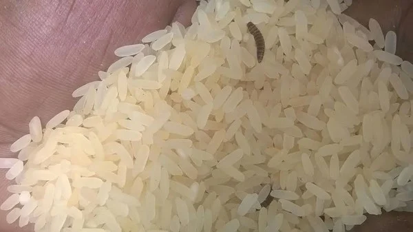 உணவுக்காக தவிக்கும் கடலூர் மக்களுக்கு 'புழு' அரிசியா கொடுப்பது?