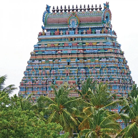 ரங்க ராஜ்ஜியம் - 24