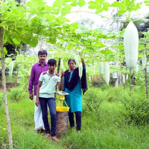 ₹ 500 செலவு, ₹ 8,800 லாபம்... ஜீரோ பட்ஜெட் விவசாயத்தில் கலக்கும் விழுப்புரம் தம்பதி!