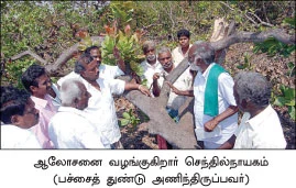 ''கூட்டு மரங்களால் கூடுதல் லாபம்!''