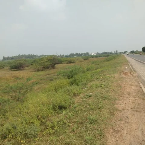 அரசு தரிசு நிலத்தில் பலகோடி முறைகேடு!- தனி நபருக்குப் பட்டா கொடுத்த வருவாய்த்துறை