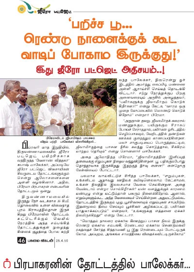 சத்தான வருமானம் கொடுக்கும் சம்பங்கி!