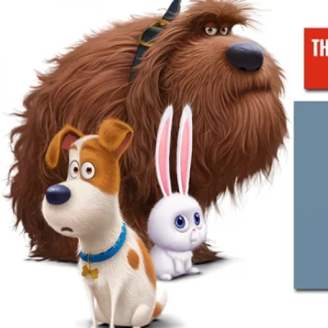 விலங்குகளுக்கு விலங்கு இடாதீர்கள் #TheSecretLifeofPets