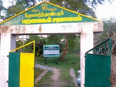 சுற்றுச்சூழலுக்கு வேட்டுவைத்த கலெக்டர்... சாட்டையைச் சுழற்றிய நீதிபதி!