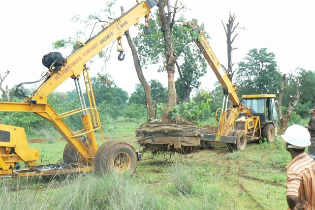 இங்கும்... அங்கும்.... டிராவலாகும் மரங்கள்.... இனி இது சாத்தியம்! #WhereIsMyGreenWorld