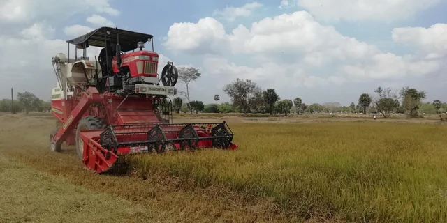 நெல் அறுவடை பணிகள் தீவிரம் - சிவகங்கை விவசாயிகள் மகிழ்ச்சி!