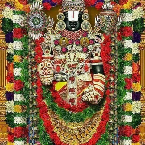 ஸ்பெயின் குங்குமப்பூ, சீனப் புனுகு படைக்கப்படும் திருப்பதி பெருமாளுக்கு கறிவேப்பிலையும் கனகாம்பரமும் ஆகாது... ஏன்? #Tirupati