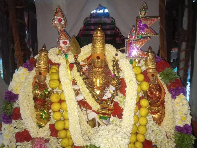 திருச்செந்தூரில் மாசித்திருவிழா தேரோட்டம்! - ஆயிரக்கணக்கான பக்தர்கள் தரிசனம்