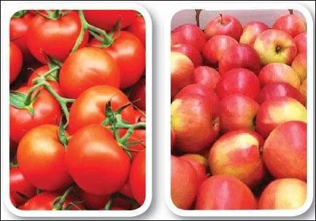 Agri Export for abundant income... Successful Strategies! Part 5