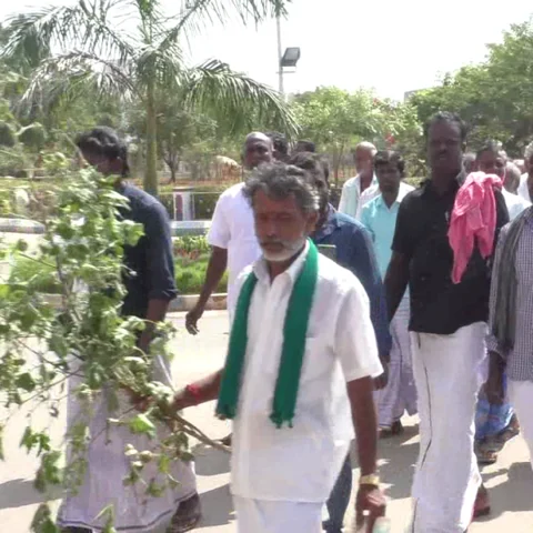 `அமெரிக்கன் படைப்புழுவால் வாழ்வாதாரமே அழிந்துவிட்டது!' - கலெக்டரிடம் கண்கலங்கிய விவசாயிகள்