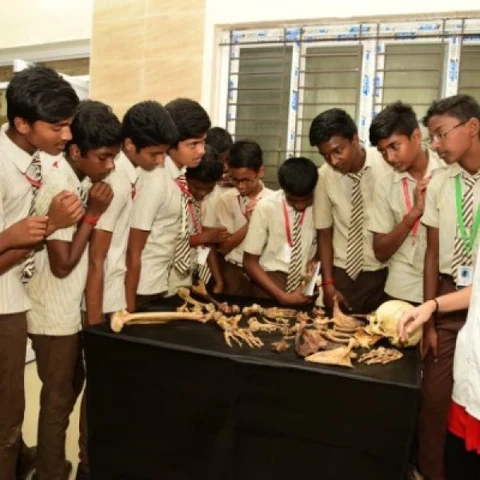 மருத்துவம் குறித்த விழிப்புணர்வு ஏற்படுத்தும் புதுக்கோட்டை மருத்துவக் கண்காட்சி!