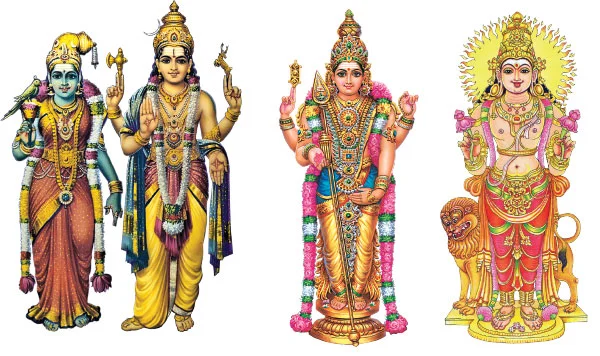வருங்கால கணவர் இப்படித்தான்!