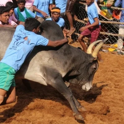 உலகப்புகழ் அலங்காநல்லூர் ஜல்லிக்கட்டு தொடங்கியது