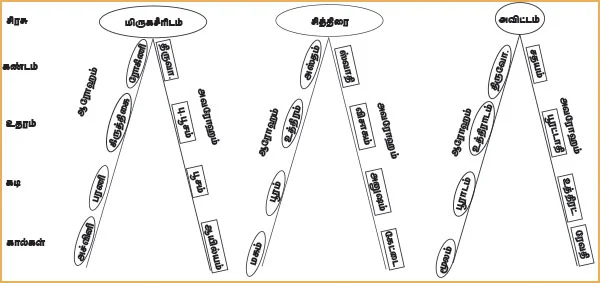 சித்தத்தை தெளிவாக்கும் ஜோதிட சிந்தனைகள்!