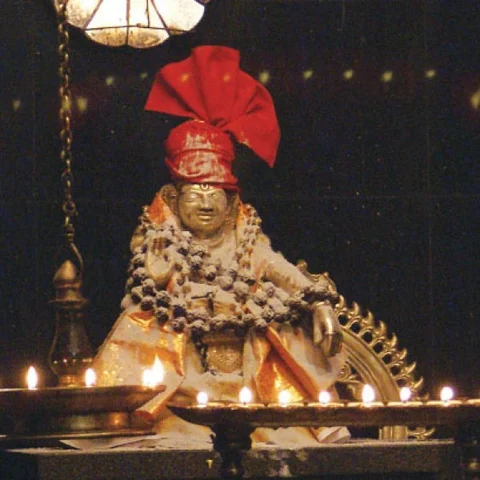 சபரிமலையில் சிறப்புப் பூஜைகள், படி பூஜை, சிறப்பு தரிசனம்.. அவசியம் அறிந்துகொள்ளவேண்டிய தகவல்கள்! #Sabarimala