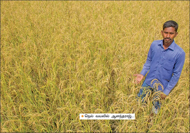 மகசூலும் லாபமும்: பசுமை விகடன் 13-ம் ஆண்டு சிறப்பிதழின் பலன்மிகு 13 அம்சங்கள்!