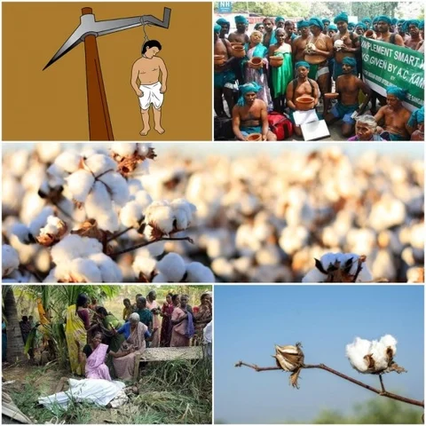 விவசாயிகளை யார் கடனாளி ஆக்கியது..? - தரவுகளுடன் அரசாங்கத்திற்கு சில கேள்விகள்! #Analysis #VikatanExclusive