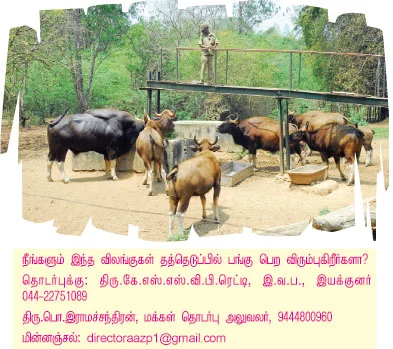 சிங்கம், புலி, யானை... எங்கள் செல்லப் பிராணிகள் - தத்தெடுக்கிறார்கள் சுட்டிகள்!