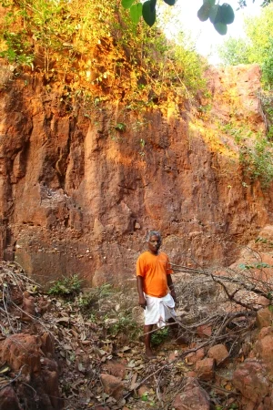 100 ஏக்கர் ஆரண்யா வனம்: 'தனி ஒருவன்' உருவாக்கிய காடு! #WhereIsMyGreenWorld