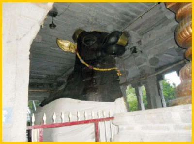 அருள்மழை பொழியும் “அமைப்பு கோயில்கள்” - Exclusive Deal.