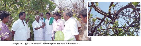 ''கூட்டு மரங்களால் கூடுதல் லாபம்!''