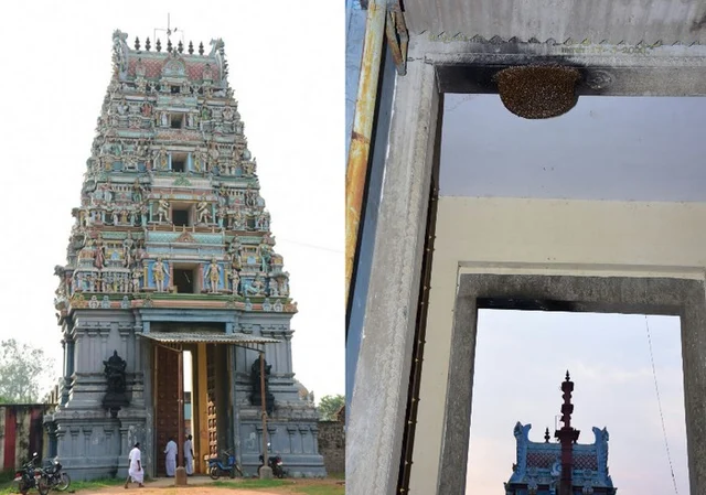 பக்தர்களை மிரட்டும் ராட்சதத் தேன்கூடு! அலட்சியம் காட்டும் அதிகாரிகள்