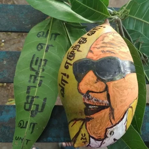 `எழுந்து வா தலைவா’... மாம்பழத்தில் கருணாநிதியின் உருவம்!