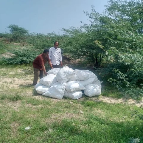 இலங்கைக்கு கடத்த முயன்ற 980 கிலோ களைக்கொல்லி! - சுங்கத்துறை அதிரடி பறிமுதல்