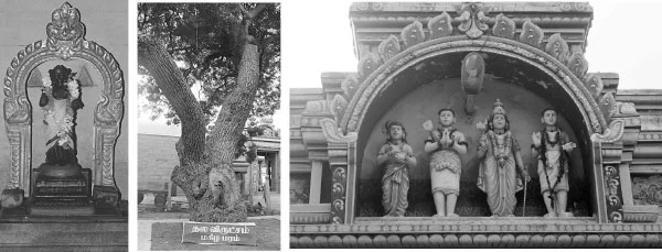 வாத நோய் தீர்க்கும் திருவாதவூர் திருத்தலம்!