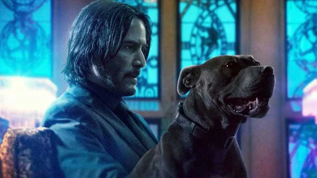 John Wick