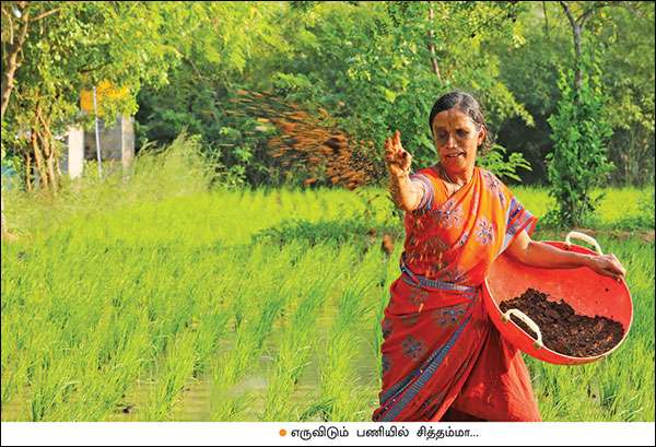 நம் வழி... நம்மாழ்வார் வழி... - 5 நிமிட வாசிப்பில் பசுமை விகடனின் 10 அம்சங்கள்