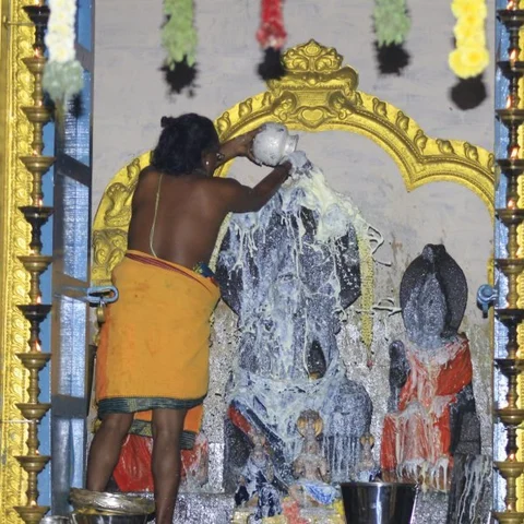 திருநாகேஸ்வரம் ஸ்ரீநாகநாதசுவாமி கோயிலில் ராகு பெயர்ச்சி விழா கோலாகலம்!