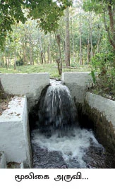 ஆயுளைக் கூட்டும் ஆரோக்கிய வனம்...