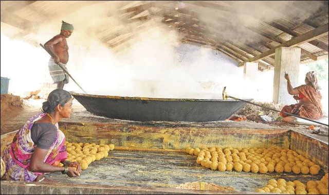Agri Export for abundant income… Successful strategies! Part 7