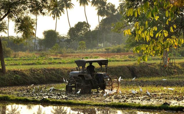 உரம் வாங்கத் திண்டாடுகிறான் இந்திய விவசாயி... உல்லாச காலண்டர் எடுக்கிறார் மல்லையா? #WhereisVijayMallya? #WhyLetMallyaFlee?