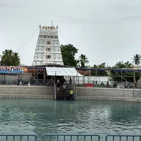 கீழ்த்திருப்பதி சீனிவாசமங்காபுரம், கபிலேஸ்வரர் கோயில்களில் 9 நாள் பிரம்மோற்சவம்! இன்று தொடங்கியது! #Tirupati