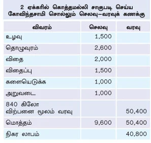 பனியில் விளையும் தனியா!