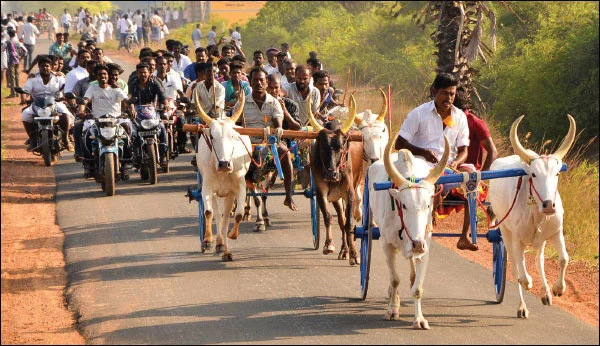 பொங்கல் சிறப்பிதழ்: 5 நிமிட வாசிப்பில் ஆனந்த விகடனின் 11 அசத்தல்கள்!
