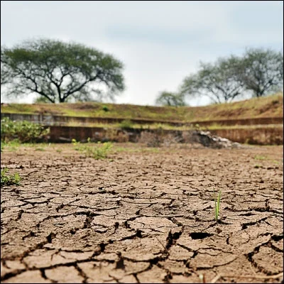 நீரின்றி அவளுலகம் அமையாது - ப்ரேமா ரேவதி