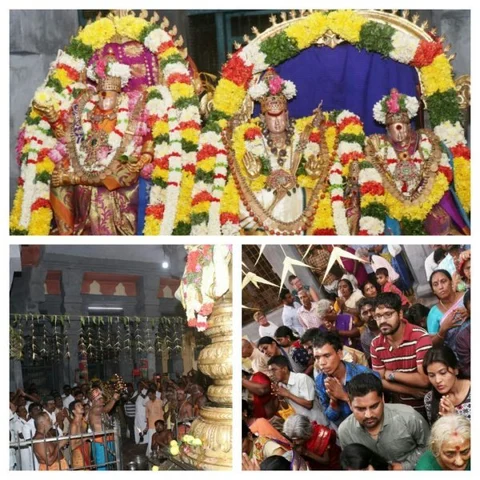 ராமேஸ்வரம் கோயில் மாசி மகா சிவராத்திரி திருவிழா! - நூற்றுக்கணக்கான பக்தர்கள் தரிசனம்